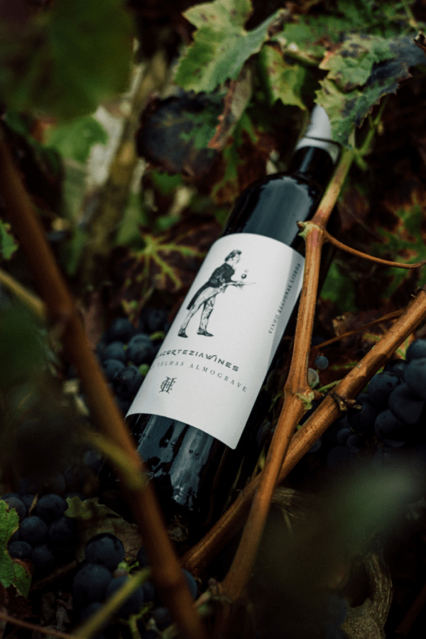 Almograve-683x1024 Haja Cortezia Vinhas Velhas Almograve 2023